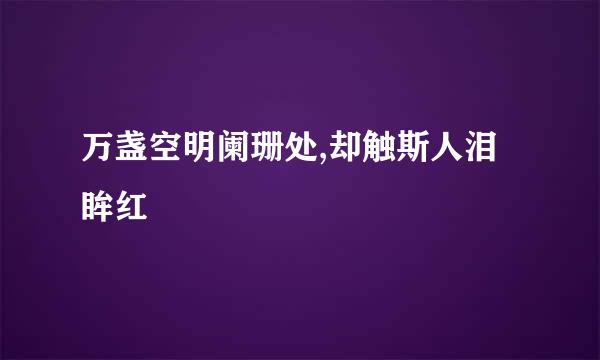 万盏空明阑珊处,却触斯人泪眸红