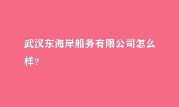 武汉东海岸船务有限公司怎么样？