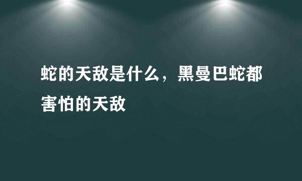 蛇的天敌是什么，黑曼巴蛇都害怕的天敌