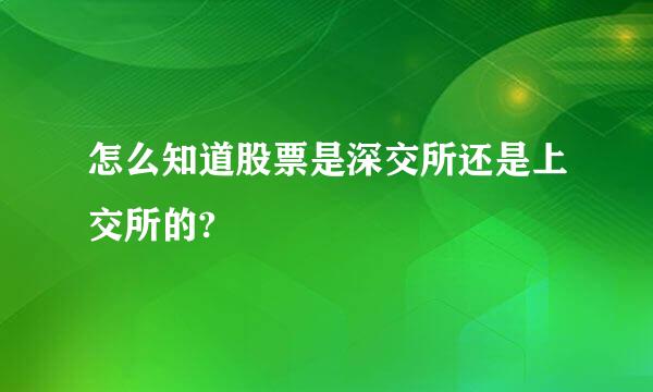 怎么知道股票是深交所还是上交所的?