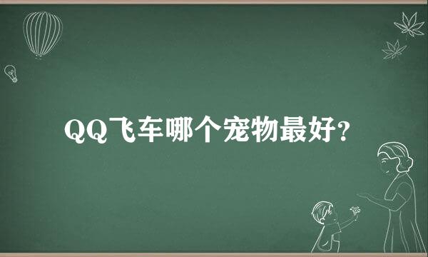 QQ飞车哪个宠物最好？