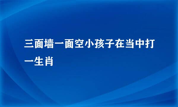 三面墙一面空小孩子在当中打一生肖