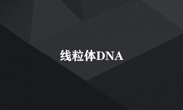 线粒体DNA