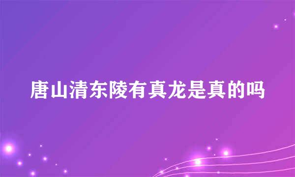 唐山清东陵有真龙是真的吗