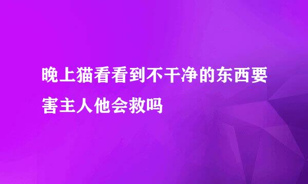 晚上猫看看到不干净的东西要害主人他会救吗