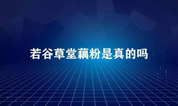 若谷草堂藕粉是真的吗