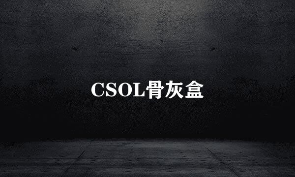 CSOL骨灰盒