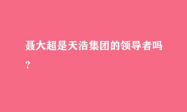 聂大超是天浩集团的领导者吗？