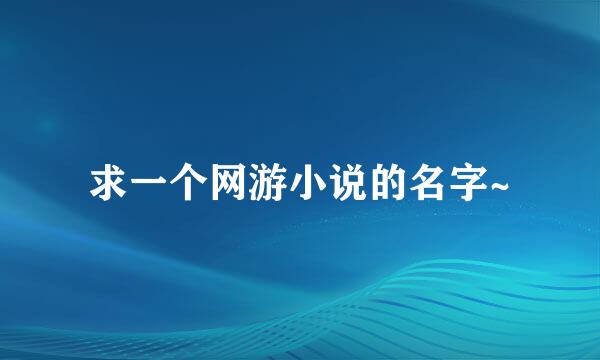 求一个网游小说的名字~