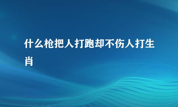 什么枪把人打跑却不伤人打生肖