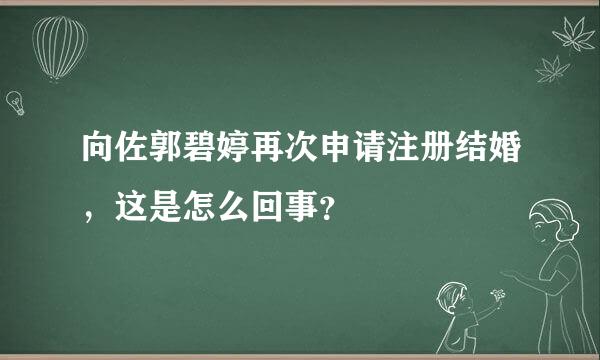 向佐郭碧婷再次申请注册结婚，这是怎么回事？