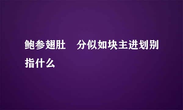 鲍参翅肚 分似如块主进划别指什么