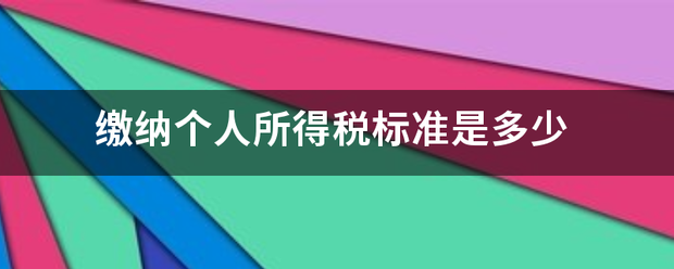 缴纳个人所得税标准是多少