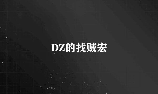 DZ的找贼宏