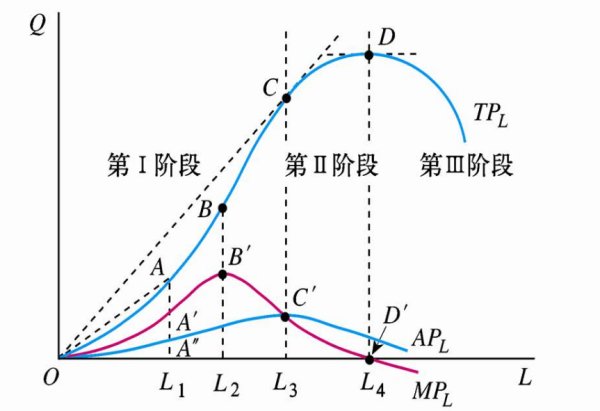 总产量、平均产量、边际产量三者之间的关系？