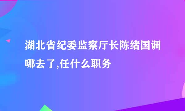 湖北省纪委监察厅长陈绪国调哪去了,任什么职务