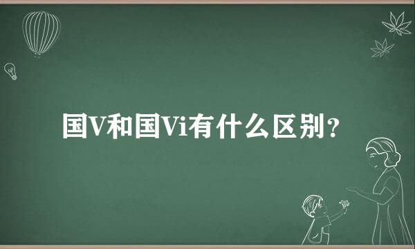 国V和国Vi有什么区别？