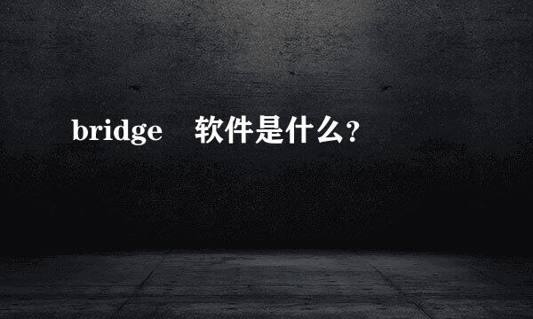 bridge 软件是什么？