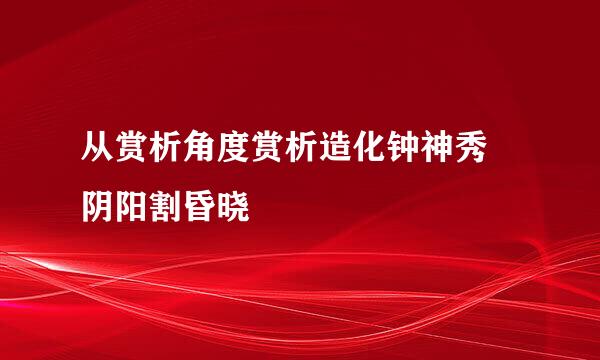 从赏析角度赏析造化钟神秀 阴阳割昏晓