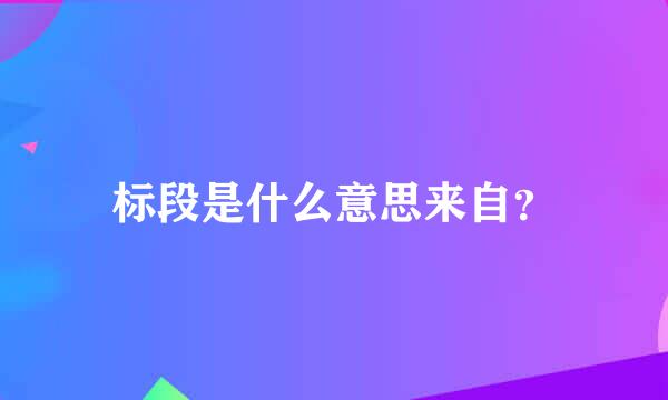 标段是什么意思来自？