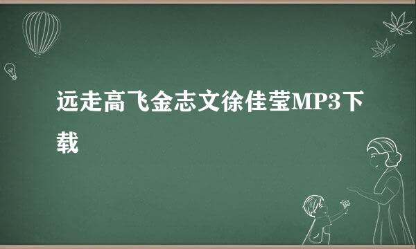 远走高飞金志文徐佳莹MP3下载