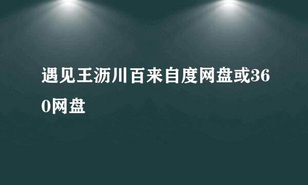 遇见王沥川百来自度网盘或360网盘