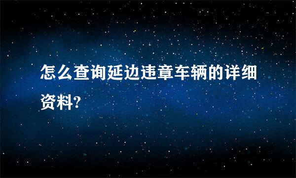 怎么查询延边违章车辆的详细资料?