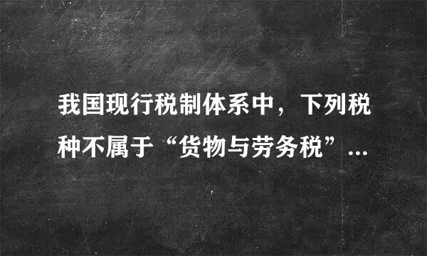 我国现行税制体系中，下列税种不属于“货物与劳务税”的有（）。