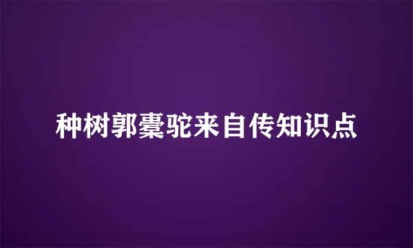 种树郭橐驼来自传知识点