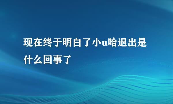 现在终于明白了小u哈退出是什么回事了