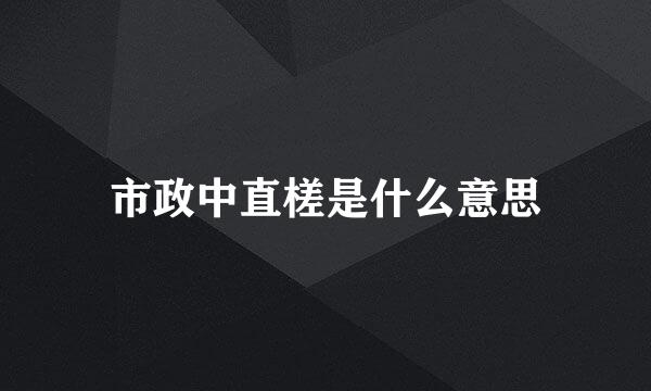 市政中直槎是什么意思