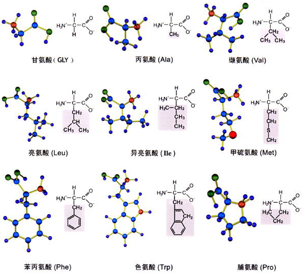 生物的基本特征是什么?