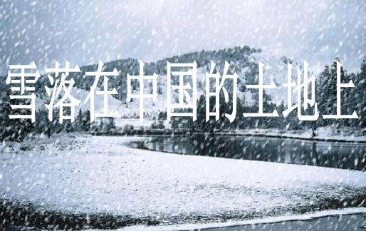 《雪落在中国的来自土地上》意象是什么？