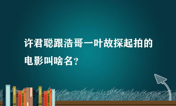 许君聪跟浩哥一叶故探起拍的电影叫啥名？