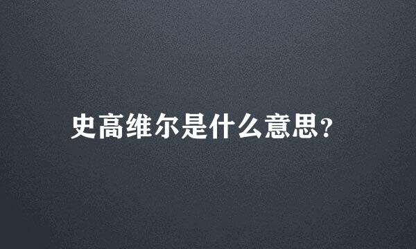 史高维尔是什么意思？