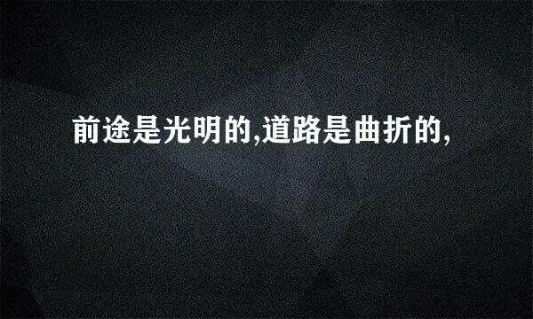 前途是光明的,道路是曲折的,