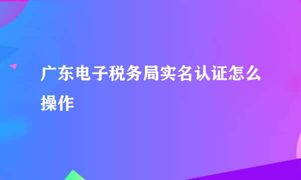 广东电子税务局实名认证怎么操作