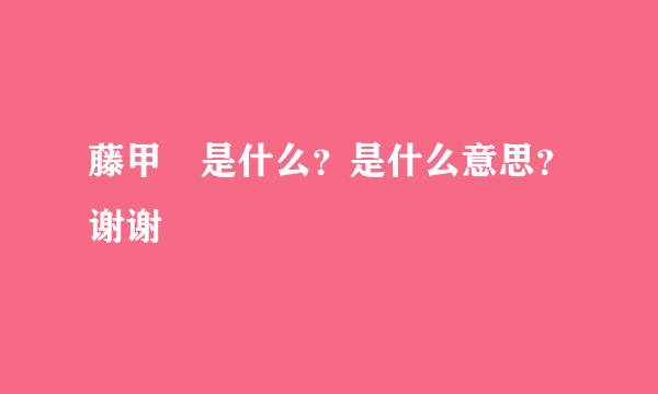 藤甲 是什么？是什么意思？谢谢