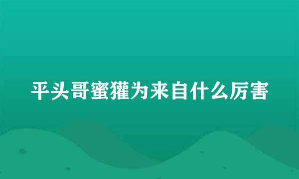 平头哥蜜獾为来自什么厉害