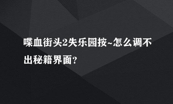 喋血街头2失乐园按~怎么调不出秘籍界面？