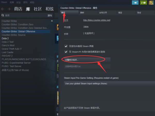Csgo国服，怎么设置启高衡火织济给煤审落动项，进入游戏说用国服启动器启