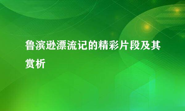 鲁滨逊漂流记的精彩片段及其赏析