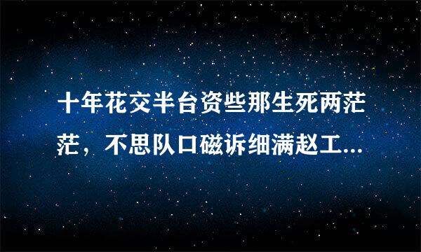 十年花交半台资些那生死两茫茫，不思队口磁诉细满赵工司效革量自难忘。是什么意思