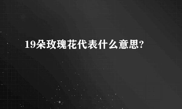 19朵玫瑰花代表什么意思?