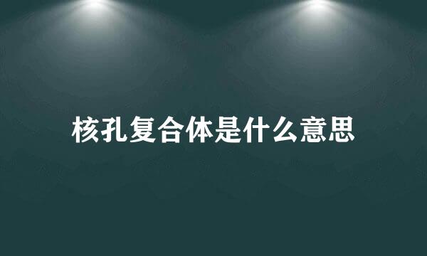 核孔复合体是什么意思