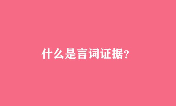 什么是言词证据？