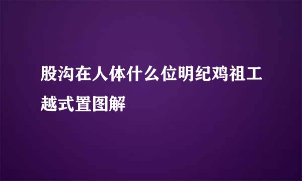 股沟在人体什么位明纪鸡祖工越式置图解