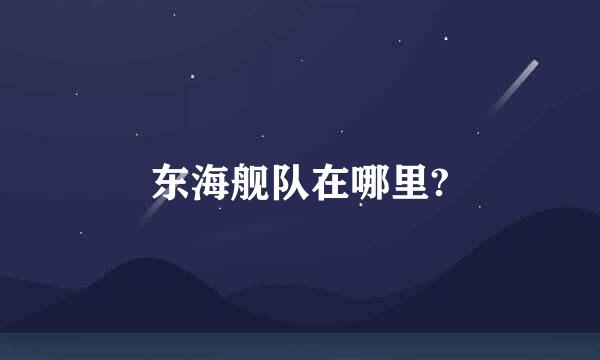 东海舰队在哪里?