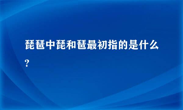 琵琶中琵和琶最初指的是什么?