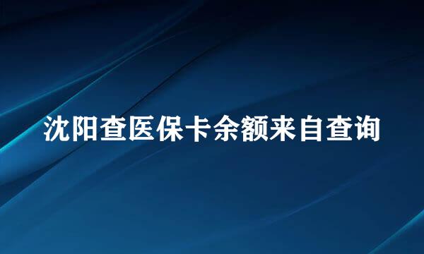 沈阳查医保卡余额来自查询